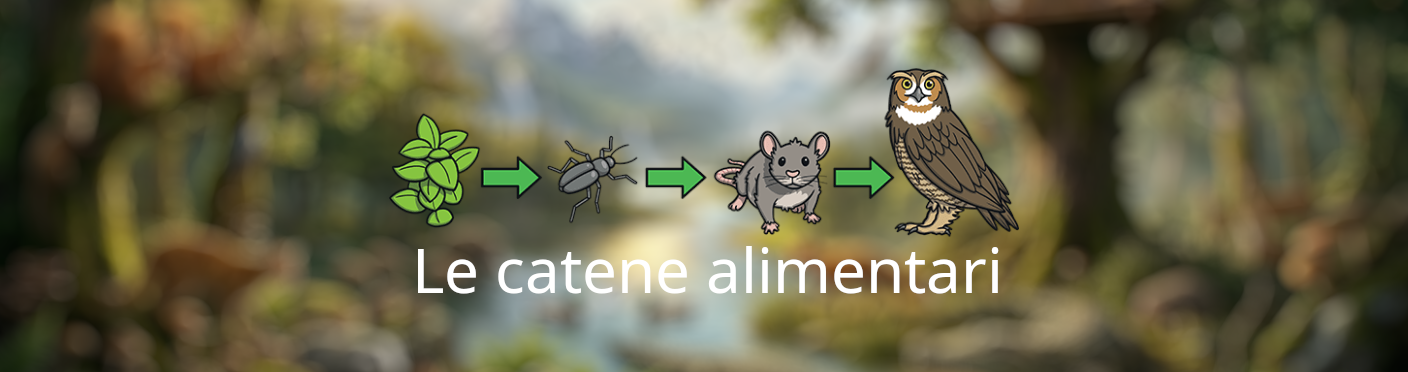 Anteprima del video sulla natura